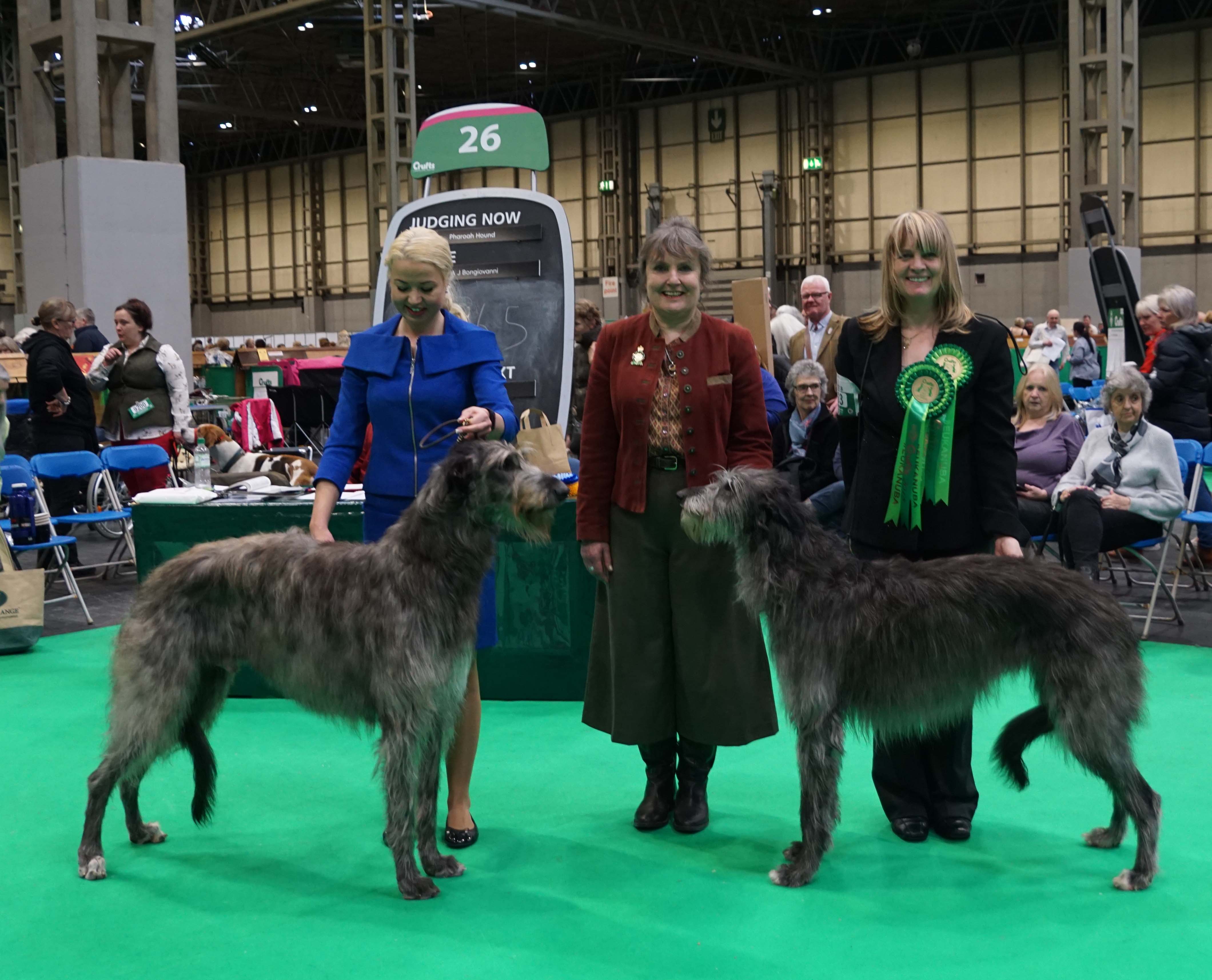 CC Winners Crufts 2017